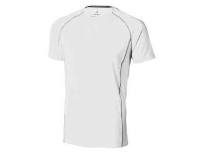 Футболка "Kingston" мужская, цвет: белый под нанесение