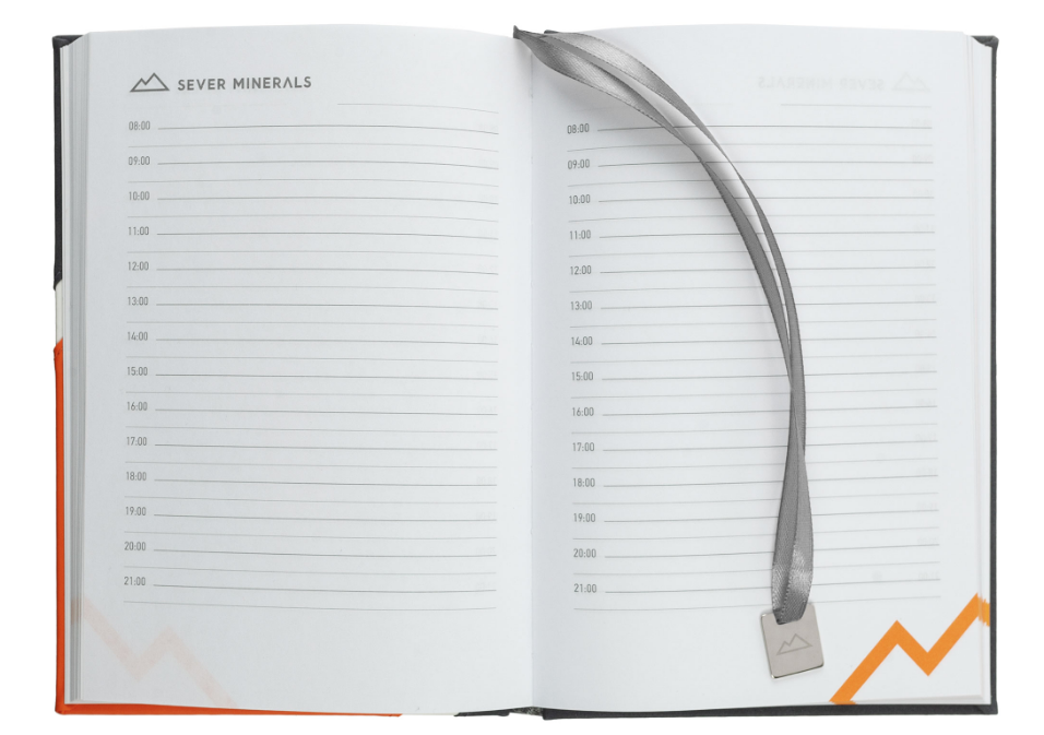 логотип на ляссе.png