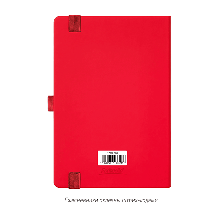 Ежедневник Альфа (Alpha) недатированный, красный/серый
