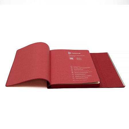 Ежедневник Bplanner.03 pro