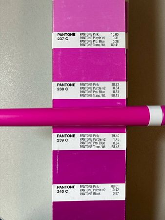 Ручка шариковая пластиковая Ravena Color розовая/белая