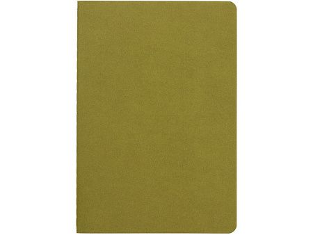 Бизнес тетрадь А5 «Pragmatic»