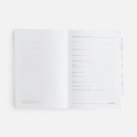 Ежедневник Baza, датированный, зеленый