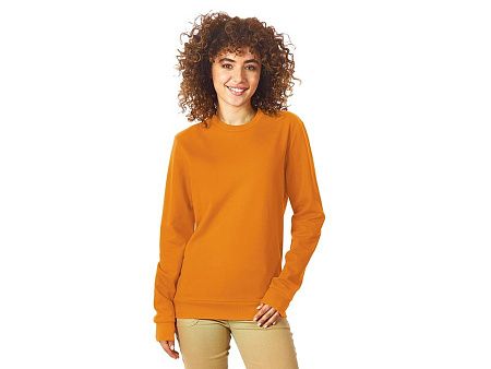 Свитшот «Motion» с начесом, унисекс