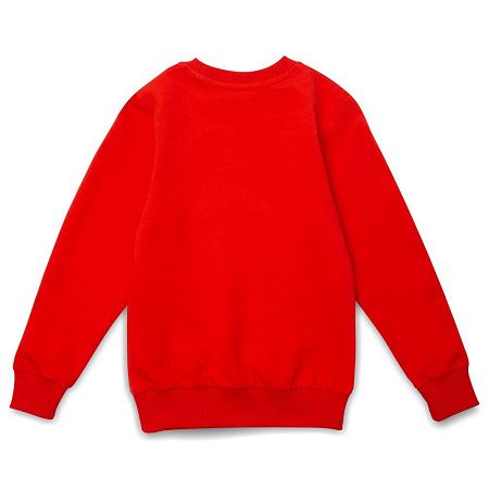 Свитшот детский Toima Kids, красный, размер 6 лет (106-116 см)