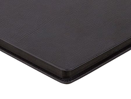 Ежедневник А5 датированный «Megapolis Nappa» на 2026