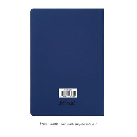 Ежедневник Спарк (Spark) недатированный, синий (без упаковки, без стикера)