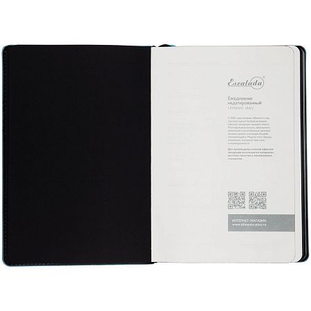 Ежедневник Alanis, недатированный, черный с голубым