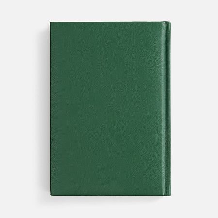 Ежедневник Baza, датированный, зеленый