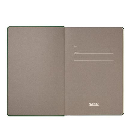 Ежедневник Рейн (Rain) недатированный, зеленый