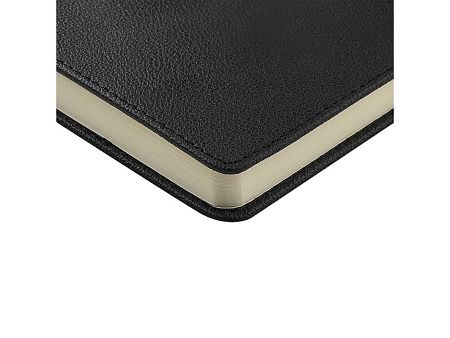 Ежедневник недатированный А5 «Lyon»