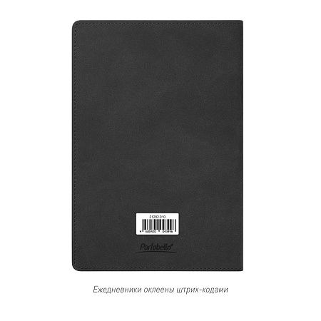 Ежедневник Теоло (Teolo) недатированный, серый