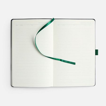 Ежедневник Lungo, недатированный, зеленый