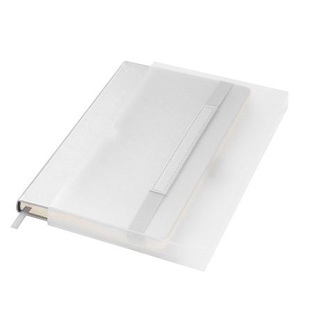 Ежедневник Альфа (Alpha) недатированный, серебро/серый