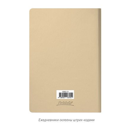 Ежедневник Спарк (Spark) недатированный, белое золото (с упаковкой, со стикерами)