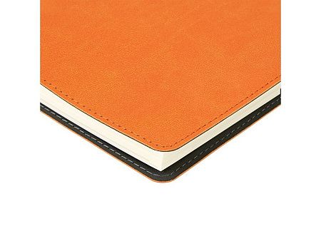 Ежедневник А5 «Tintoretto»