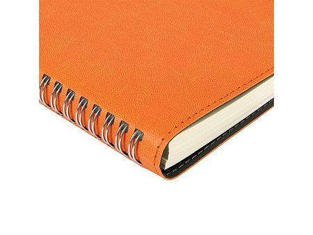 Ежедневник А5 «Tintoretto»