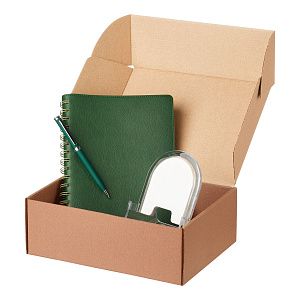 Подарочный набор Виста (Vista), зеленый (ежедневник, ручка, зарядная станция)