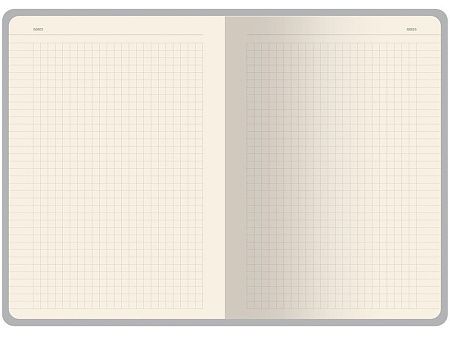 Бизнес тетрадь А5 «Pragmatic»