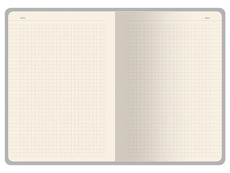 Бизнес-тетрадь А5 «Pragmatic Contrast»