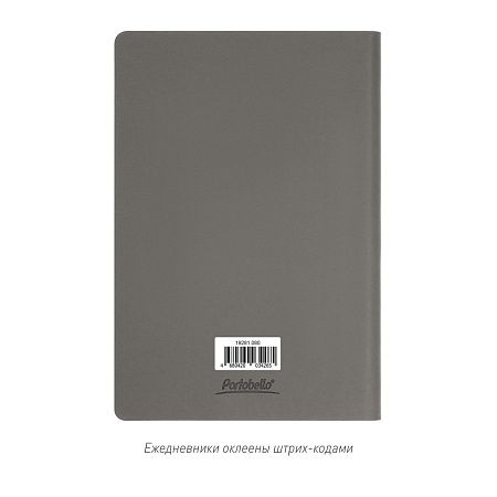 Ежедневник Стар (Star) недатированный, синий (без упаковки, без стикера)