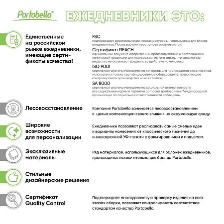 Ежедневник Спарк мини (Spark mini) A6 недатированный, синий