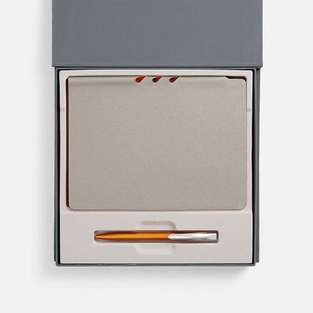 Набор Flexpen Grey, оранжевый