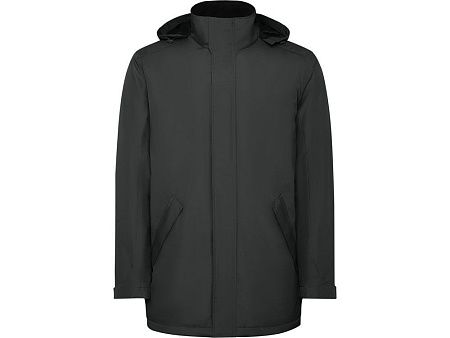 Парка утепленная «America», мужская