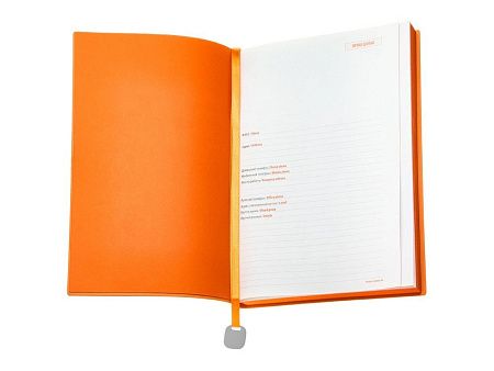 Ежедневник недатированный А5 «Mercury»