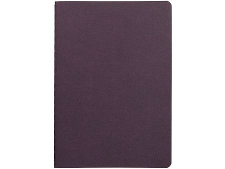 Бизнес тетрадь А5 «Pragmatic»