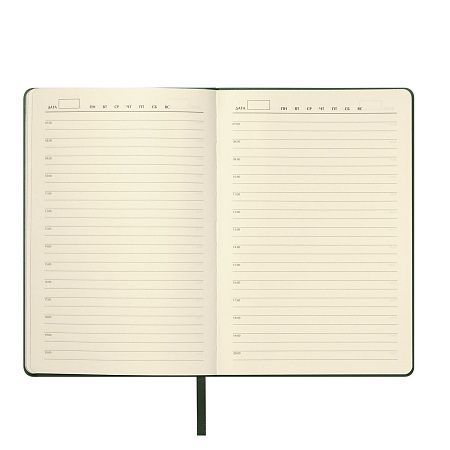 Ежедневник Молто (Molto) недатированный, зеленый (без упаковки, без стикера)