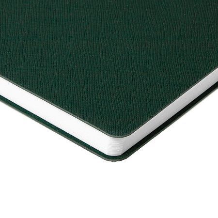 Ежедневник Flexpen Bright, недатированный, зеленый