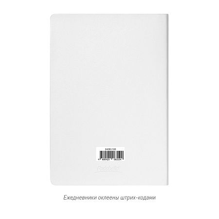 Ежедневник Гэлакси (Galaxy) недатированный, гибкая обложка, срез голограф. фольга, белый