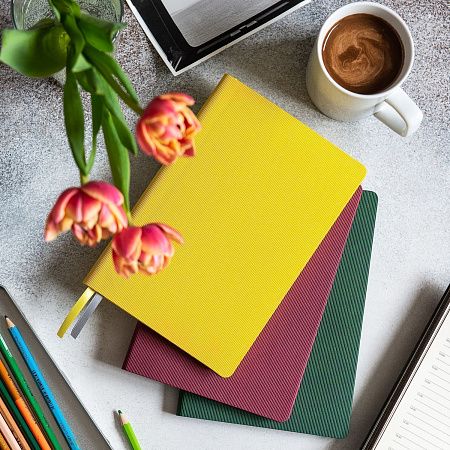 Ежедневник Рейн (Rain) недатированный, бургунди