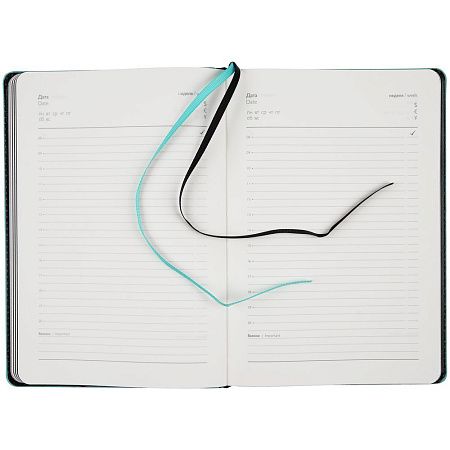 Ежедневник Alanis, недатированный, черный с голубым