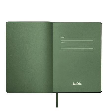 Ежедневник Молто (Molto) недатированный, зеленый (без упаковки, без стикера)