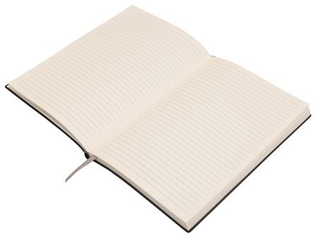 Подарочный набор «Bradbury &Co» с блокнотом А5 и ручкой