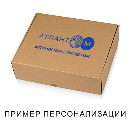 Набор подарочный Solution Duo (плед, термос), красный