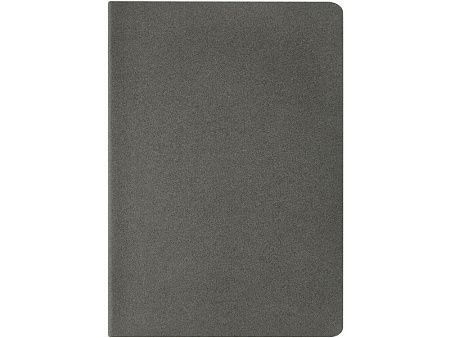 Бизнес тетрадь А5 «Pragmatic»