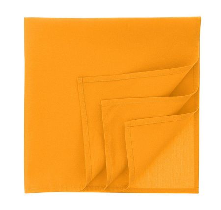 Бандана GOAL-S