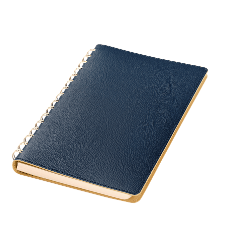 Ежедневник Виста (Vista) недатированный, синий/бежевый