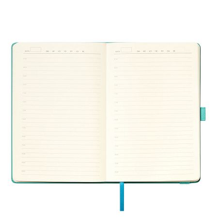 Ежедневник Альфа (Alpha) недатированный, серый/бирюзовый