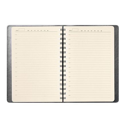Ежедневник Виста Нео (Vista Neo) недатированный, серый
