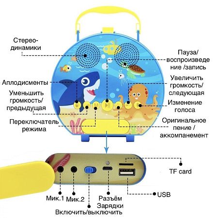 Караоке-колонка с микрофонами, детская
