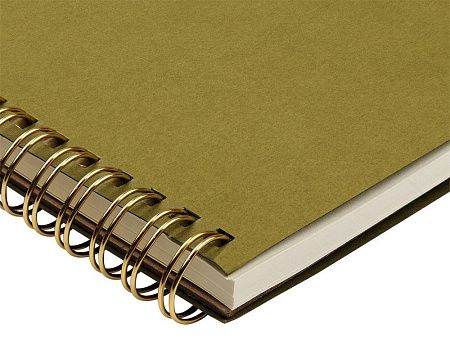 Бизнес тетрадь А5 «Pragmatic»