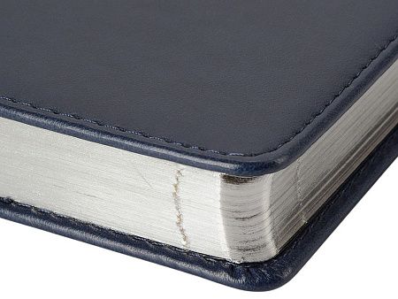 Ежедневник недатированный А5 «Parliament»