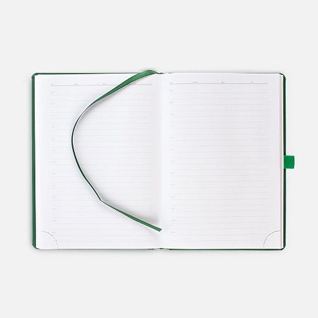 Ежедневник Favor Gold, недатированный, ярко-зеленый