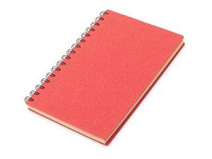 Блокнот А5 на спирали «Mania»