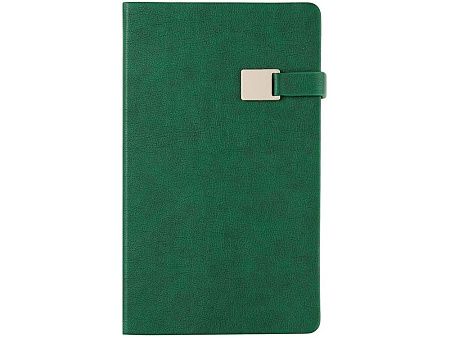 Ежедневник недатированный А5 «Premier»