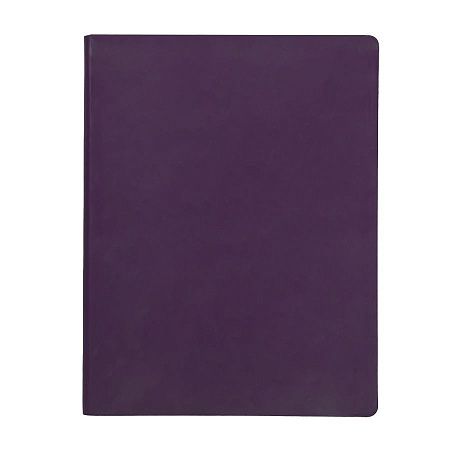 Бизнес-блокнот BIGGY, формат B5,  в клетку